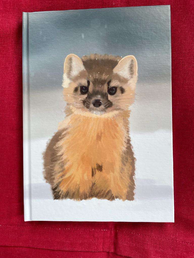 Hardback journals (A5)