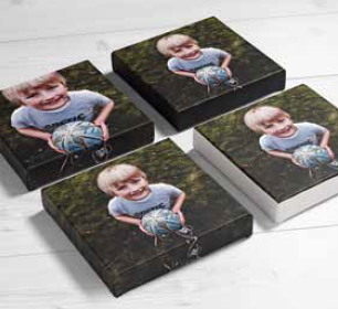 Custom Pet Art - Eco-Canvas