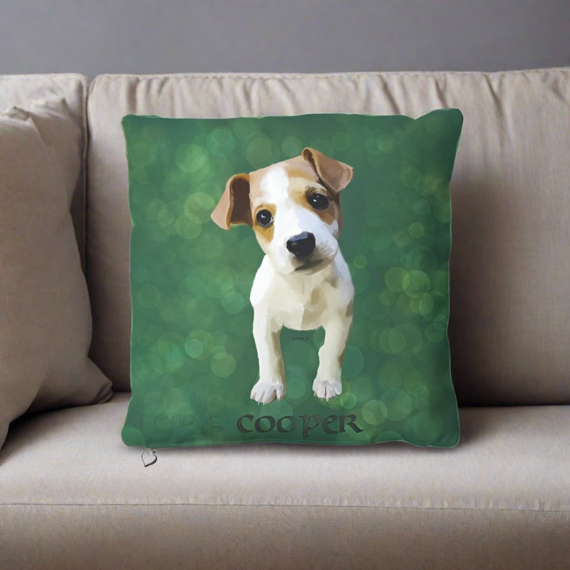 Set of Premium Custom Throw Pillows (2 or 4)