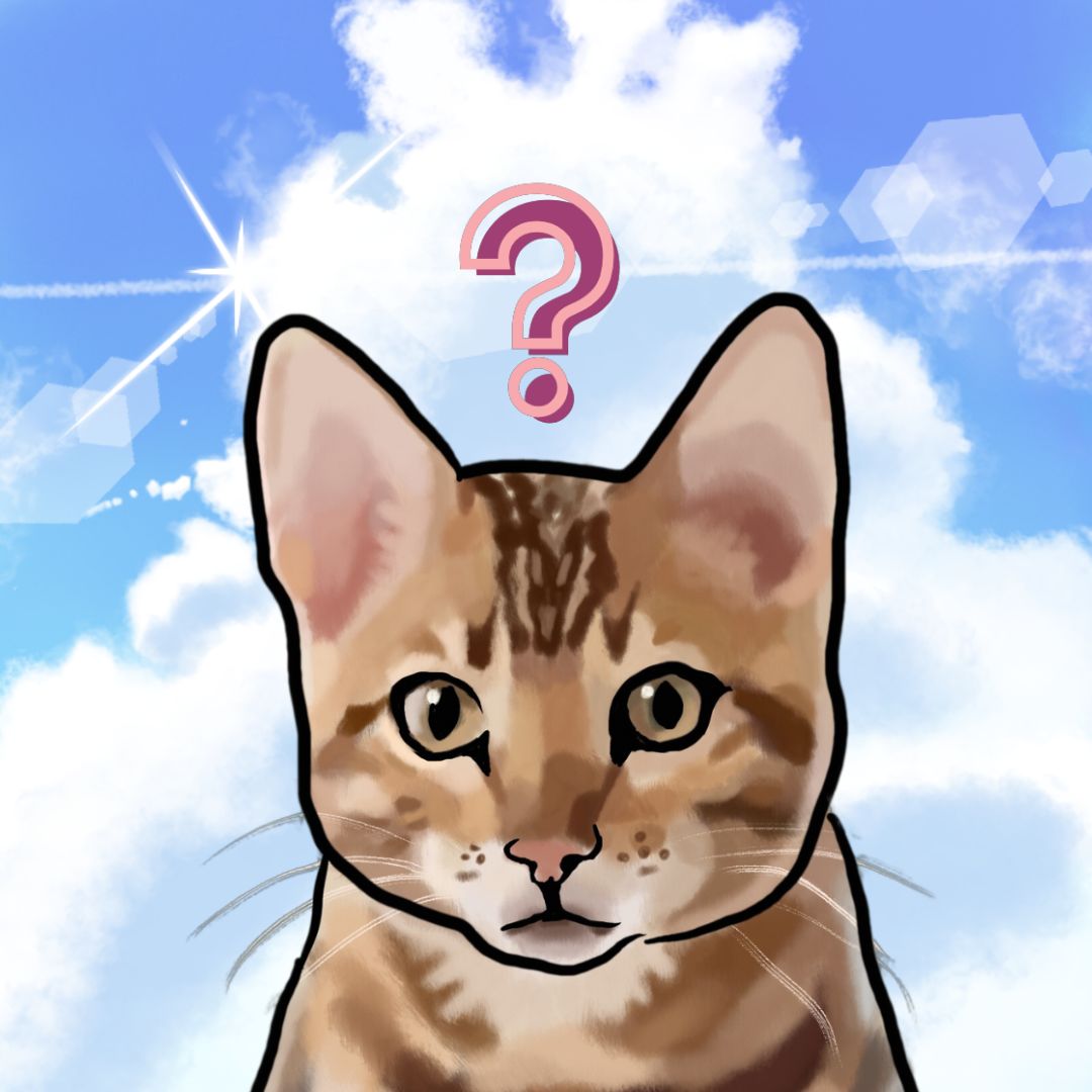 Custom Avatar/Profile pic of your pet