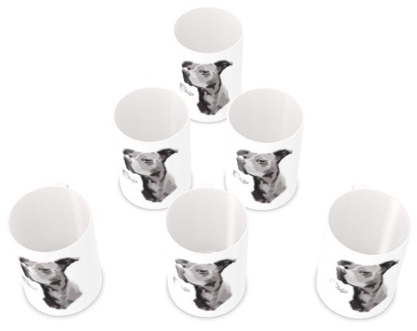 SET OF 6 - Premium Bone China Mugs