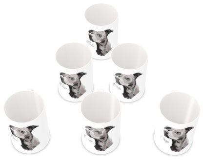 SET OF 6 - Premium Bone China Mugs