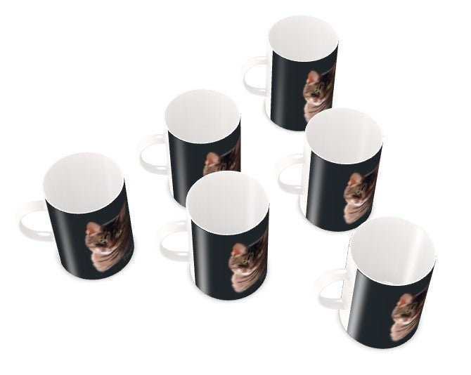 SET OF 6 - Premium Bone China Mugs