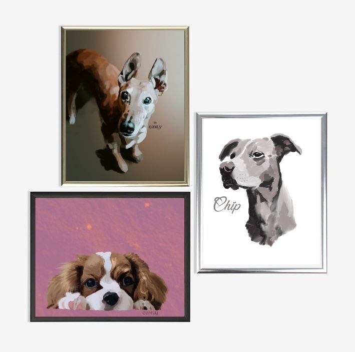 Pet portraits in aluminium frames