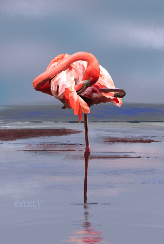 Andean Flamingo - Wall art