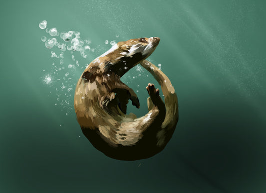 Eurasion Otter - Wall art