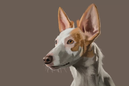 Custom Pet Portait -  Digital file only