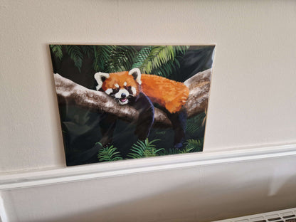 Red Panda - Wall art